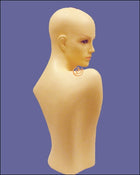 Mannequin MQ109F (USED)