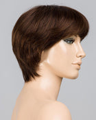 Award Deluxe-Petite/Average | Lace Front & Monofilament Top Remy Human Hair Wig by Ellen Wille