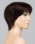 Award Deluxe-Petite/Average | Lace Front & Monofilament Top Remy Human Hair Wig by Ellen Wille