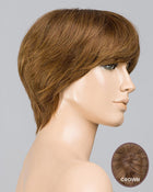 Award Deluxe-Petite/Average | Lace Front & Monofilament Top Remy Human Hair Wig by Ellen Wille